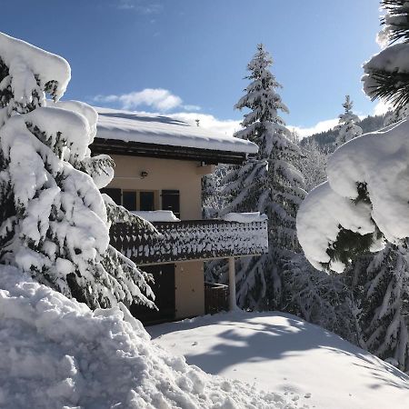 Chalet Les Trolles Les Gets Dış mekan fotoğraf